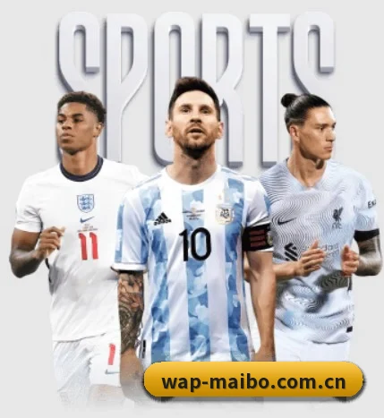 比分查询与赛事提醒（myballsports）
