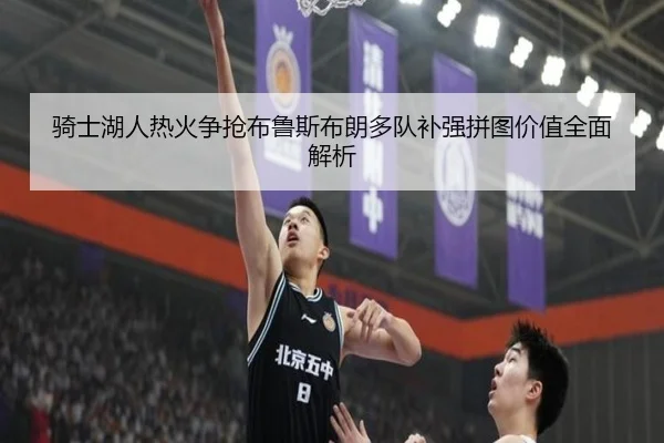 骑士湖人热火争抢布鲁斯布朗多队补强拼图价值全面解析 - myballsports